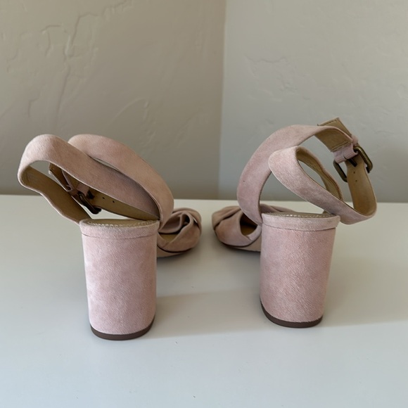 Splendid - Picture 9 of 11